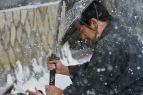 『散り椿』から新たな場面写真が到着！