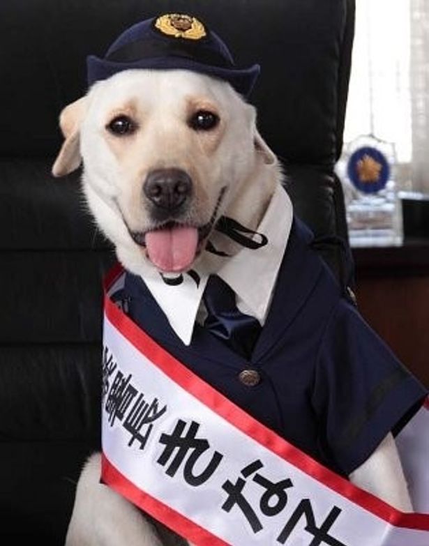 警察官のコスプレをしたきな子