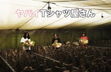 注目の3ピースバンドが『ニセコイ』の主題歌に！