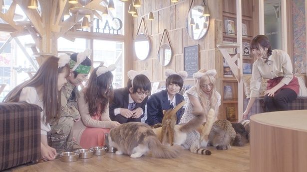 猫に注がれる優しい笑顔に癒される！
