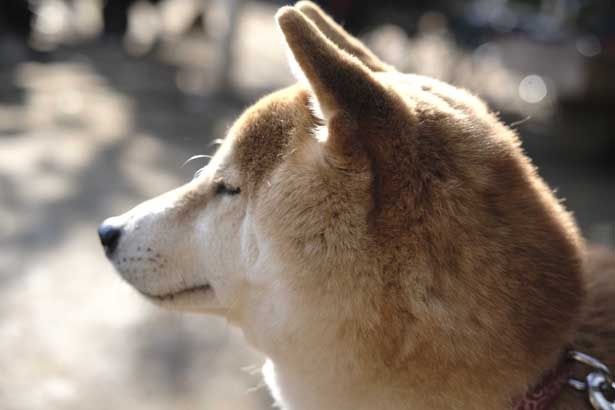 目を閉じた横顔もかわいい！