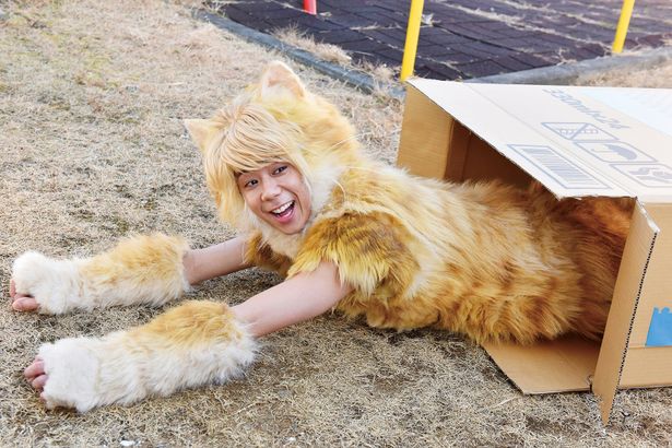 北山宏光の“トラ猫”姿新カット＆デザイン画が初公開