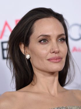 アンジェリーナ一家の“面白写真”って？