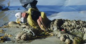 人形だけど、グロ注意！水死体(？)で発見されたりも…