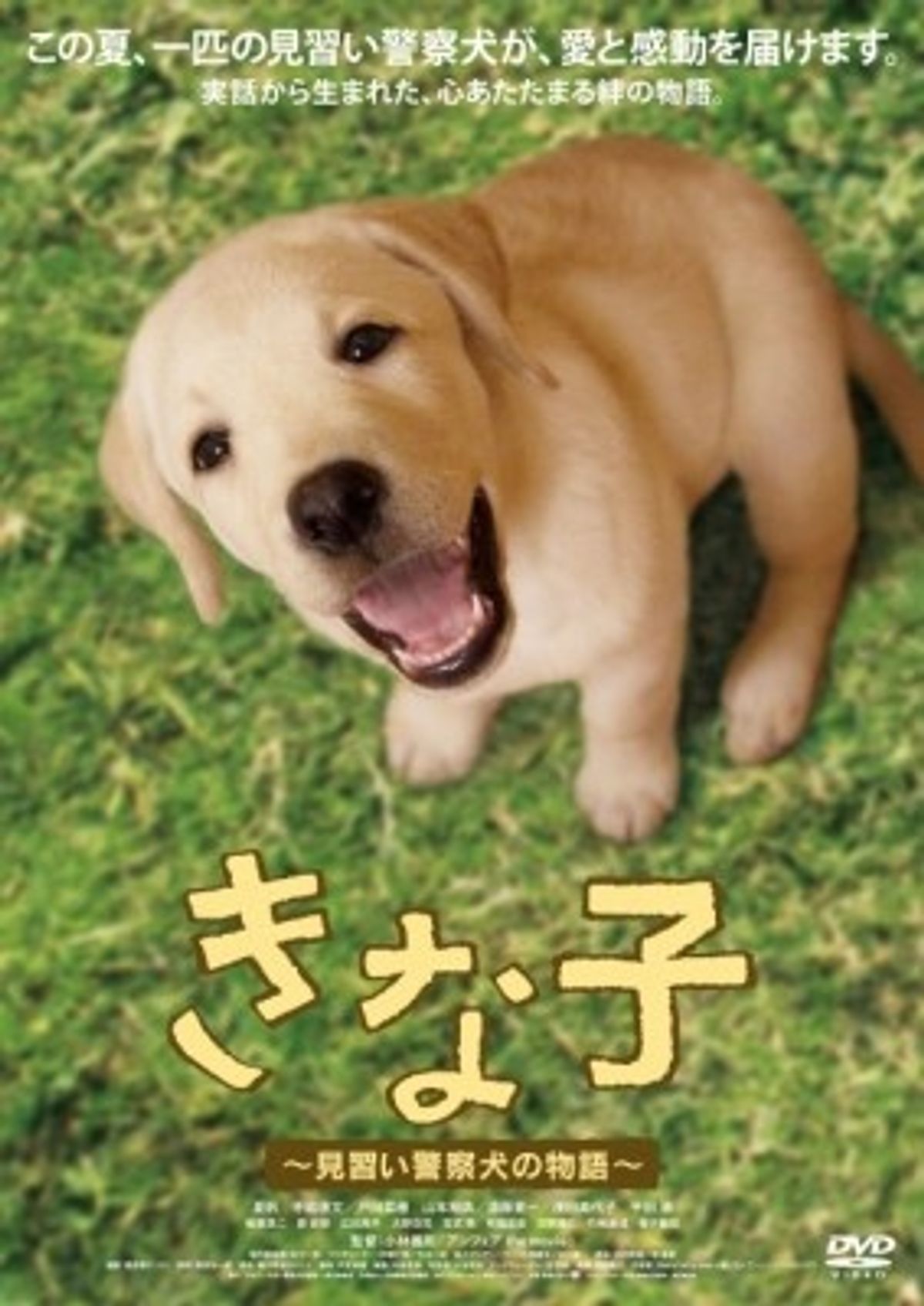 あのきな子が7回目のチャレンジとなる警察犬競技会で優勝