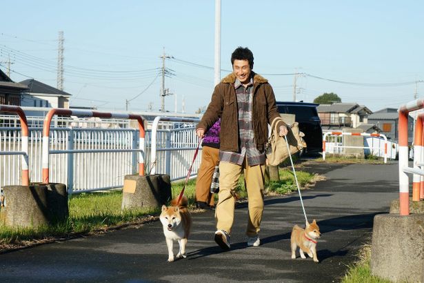 犬たちが走りまわって現場が散らかることもしばしば…