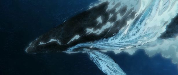 クジラが沈み込むシーンは大迫力