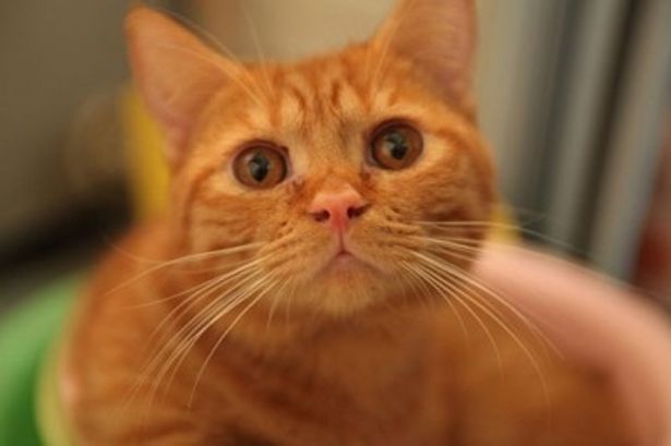 鼻の穴も広げて、驚きの表情
