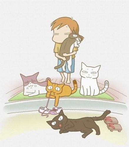 アニメ「くるねこ」、2011年1月から北海道でも放送へ！