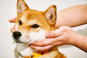 『柴公園』インタビューにて撮影