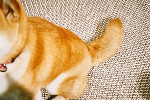  『柴公園』インタビューにて撮影