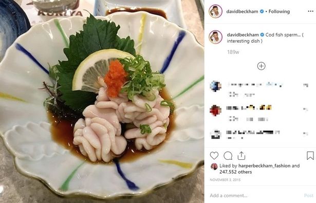 お気に入りの白子もインスタグラムにアップ