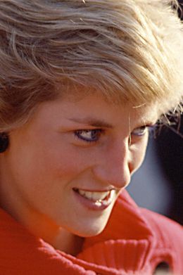 故ダイアナ妃の姉弟の現在は