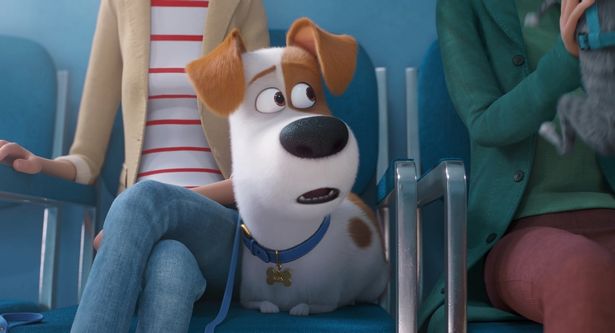 主人公のマックスは臆病者のテリア犬