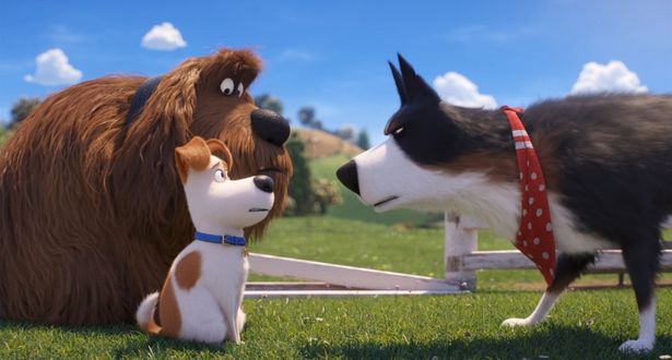 新キャラクターのルースターは厳格な犬