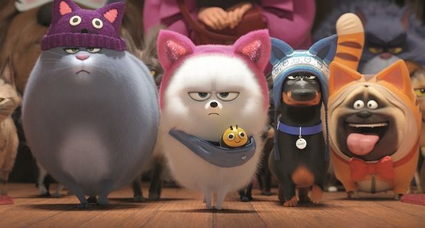 ネコ(？)が勢揃いで立ち向かうのは…！