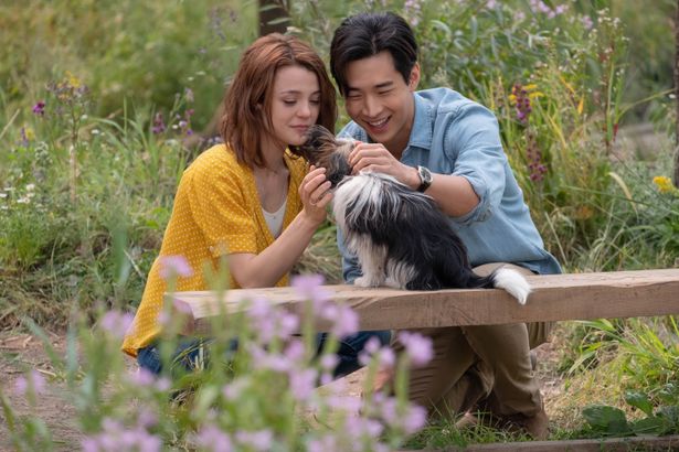 キャスト・スタッフ全員が犬たちと絆を育みながら撮影が行われた