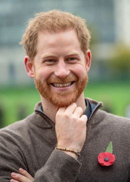 ヘンリー王子が初来日