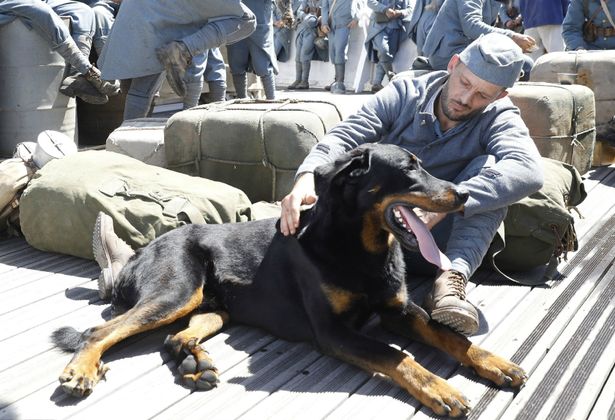 ドーベルマンの原種として知られる、美形犬種“ボースロン”が大活躍する本作