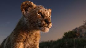 叔父であるスカーに父ムファサを殺され、王国を追われるシンバ