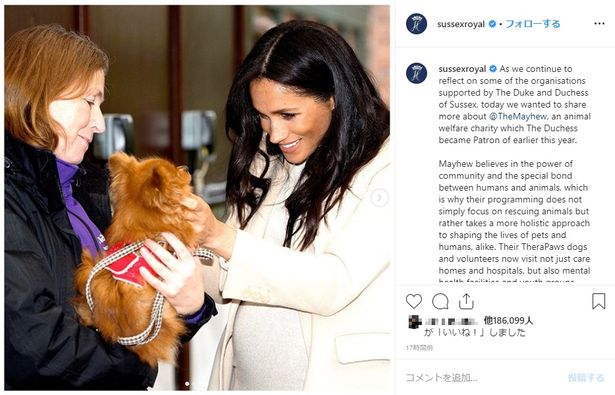 アーチーを妊娠中当時の写真