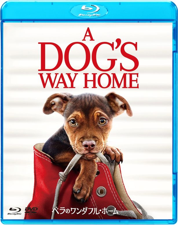 『ベラのワンダフル・ホーム』Blu-ray＆DVDセット2020年1月10日(金)発売