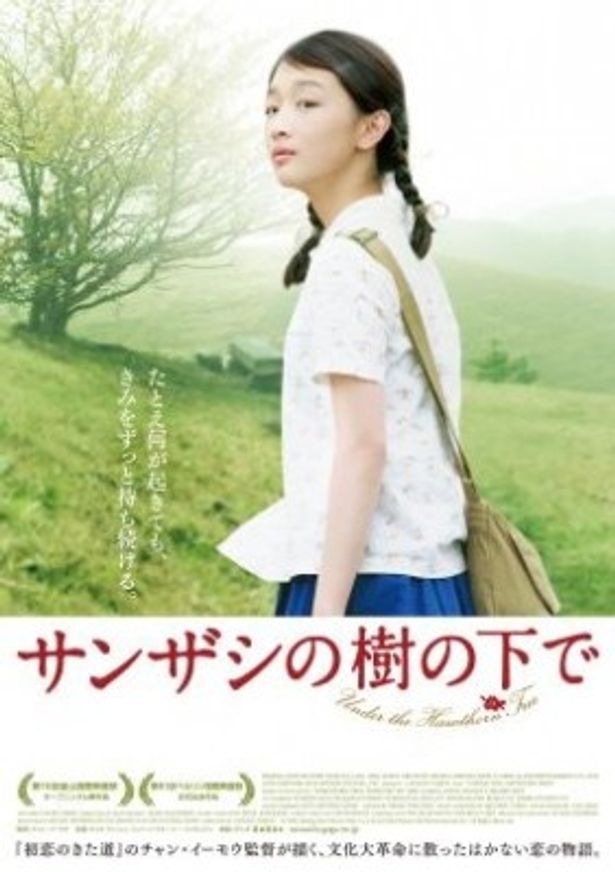 チャン・イーモウ監督『サンザシの樹の下で』は7月9日(土)より日本全国順次公開