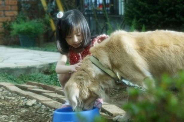 松たか子の娘役を演じた芦田愛菜