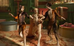 ジェリクルキャッツ(＝人間に媚びない、気高く生きるネコたち)の歌やダンスに魅了される『キャッツ』