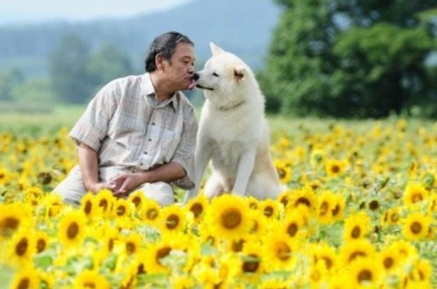『星守る犬』は6月11日(土)より全国公開