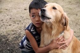 三宅島の噴火で引き裂かれるロックと家族の物語が描かれる