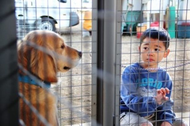 【写真】家族とロックが離れ離れになる予告映像に多くの人が涙している