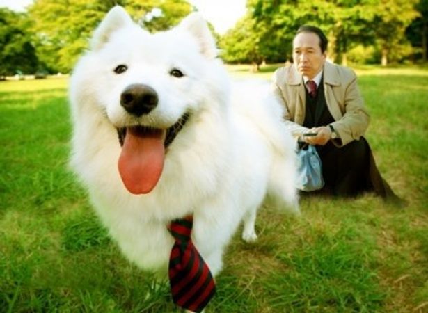 『犬飼さんちの犬』は6月25日(土)より全国公開