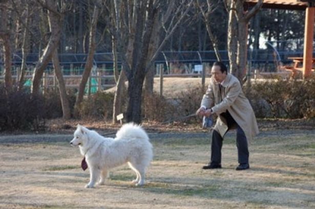 犬飼と愛犬・サモンが心を通わせていく様子が、ほのぼのしたタッチで描かれる