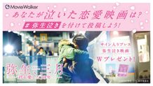 読者が涙した #弥生泣き 映画募集キャンペーンを実施！