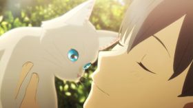 スタジオコロリドの最新作『泣きたい私は猫をかぶる』の場面写真が初解禁！