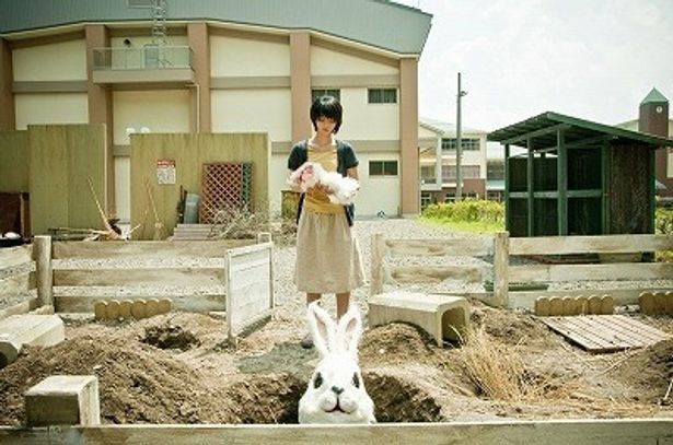 「最初はウサギじゃん！って思ってたけど、追いかけられたら怖い！」