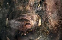 某サメや某ピラニアより身近な存在であるイノシシだけに恐怖感があおられる