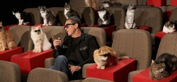 【写真】隣席していたネコと、作品のできを確認するアントニオ・バンデラス