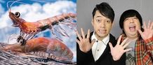 オキアミのウィルとビルの日本語吹替を担当するバナナマン