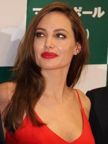 アンジェリーナ・ジョリー、今度は盗作疑惑で訴えられる