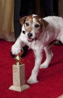 『アーティスト』のアギーがアカデミー賞を最後に引退