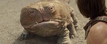これがバルスームのウーラ。グロテスクな容姿も魅力？