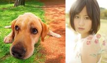 『LOVE まさお君が行く！』の主題歌「君は僕だ」を歌う前田敦子