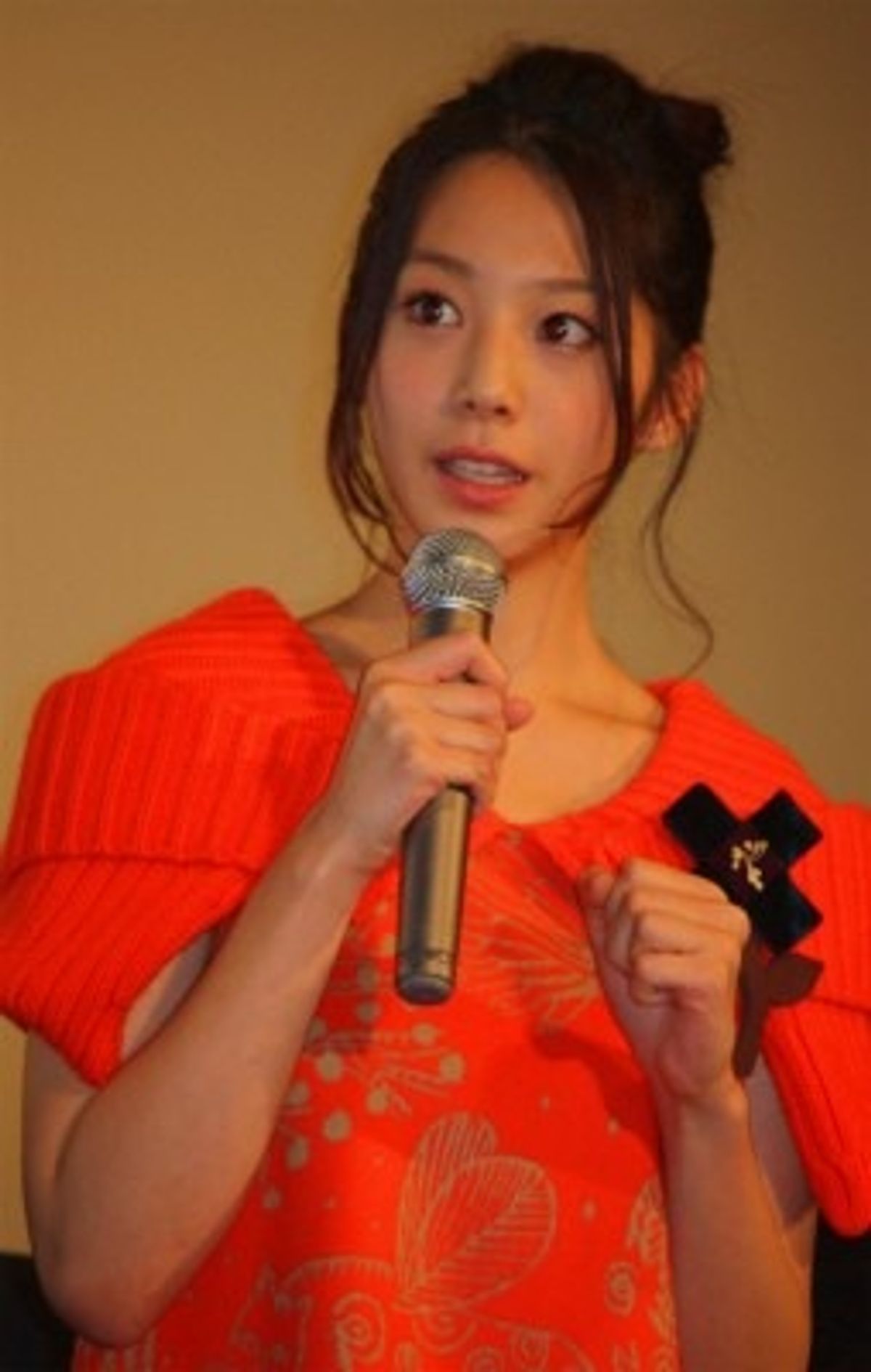 活動歴および当時の関連ビジュアル記録