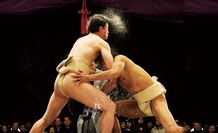 隠岐古典相撲の迫力に圧倒される