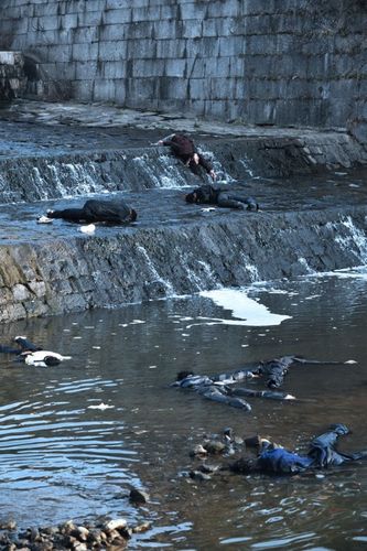 致死率100％の恐怖の殺人寄生虫が日本上陸！