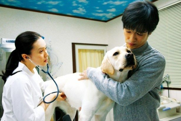 『ひまわりと子犬の7日間』は3月16日(土)より公開