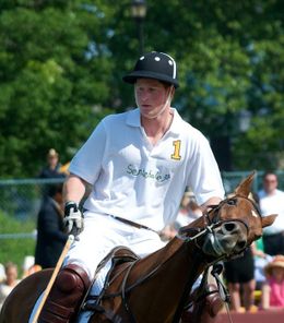 チャールズ皇太子、ウィリアム王子に続いて