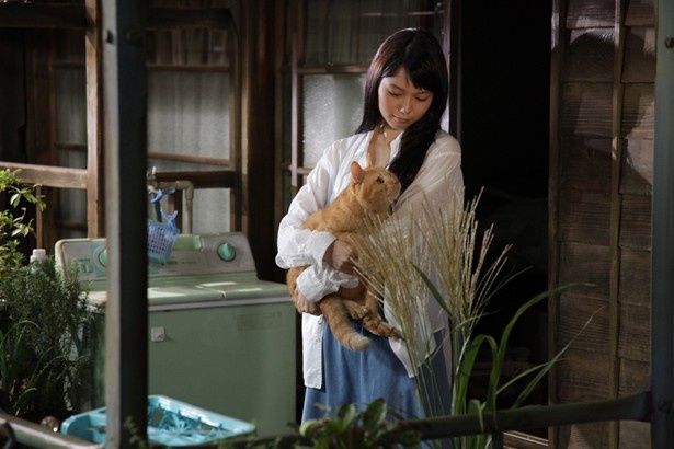 【写真を見る】宮崎あおいに抱えられても冷静に演技をする“トラさん”とは？